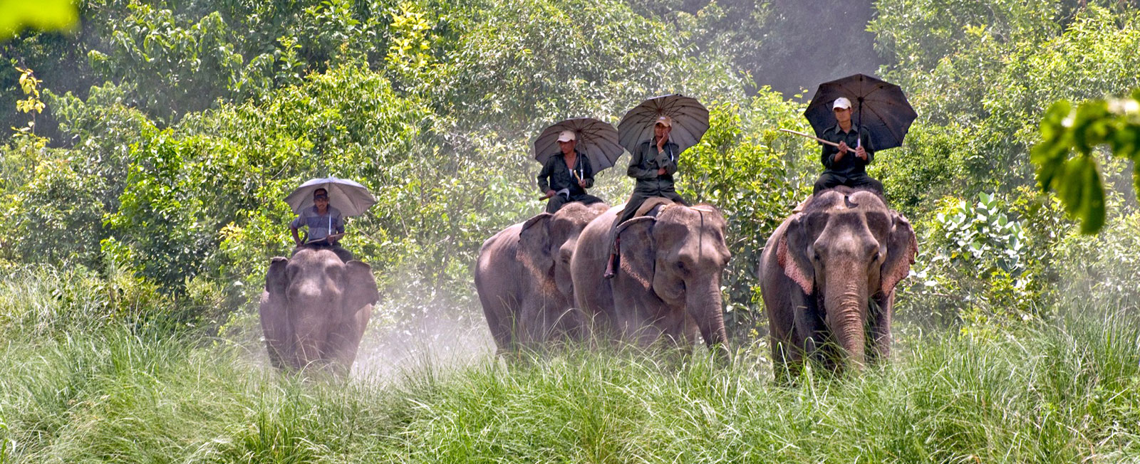 Bardiya National Park