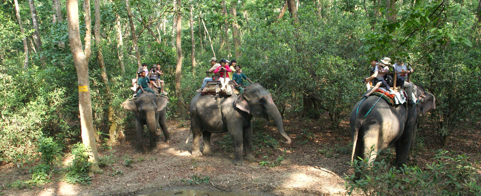 Chitwan Jungle Safari