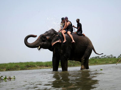 Cost of Jungle Safari Tour in Nepal, Wildlife Tour in Nepal