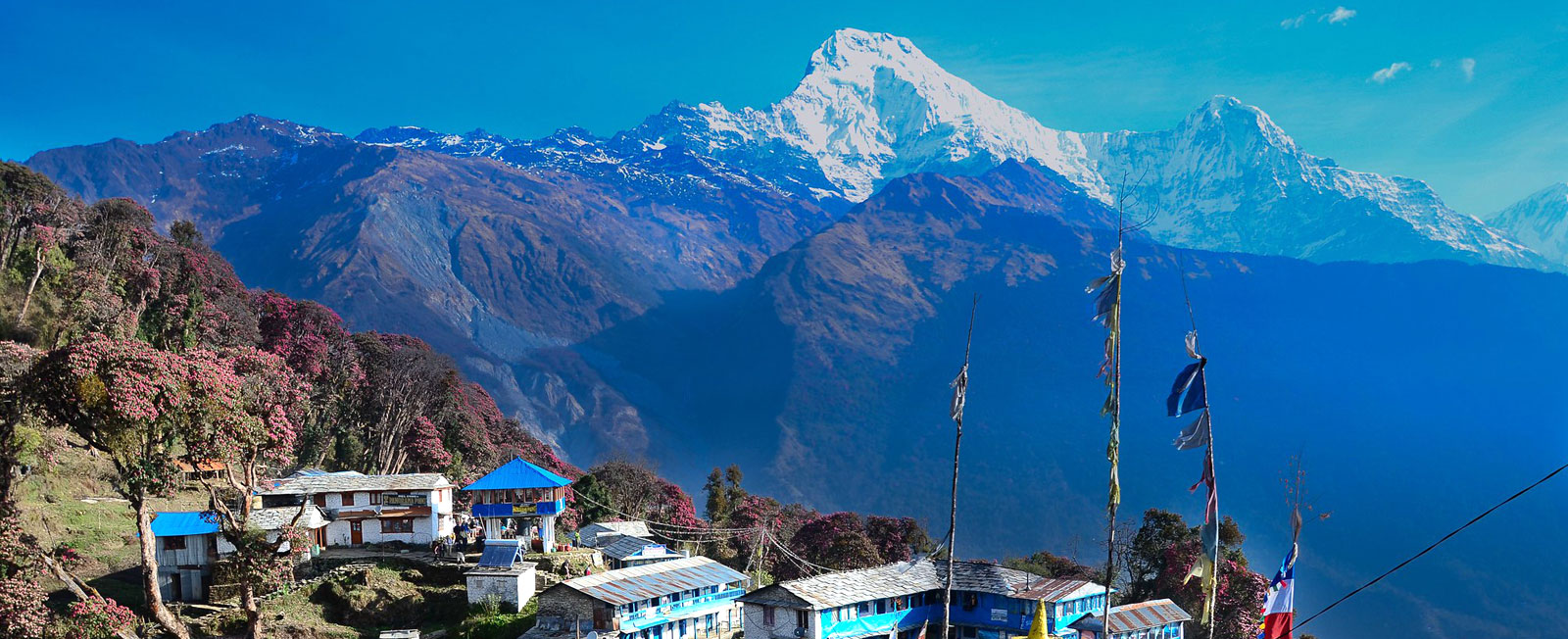 Mardi Himal Trek