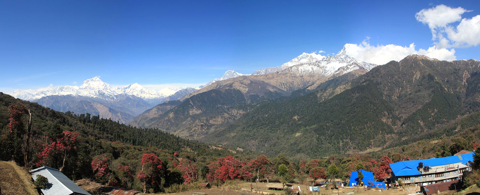 Trek to Ghorepani