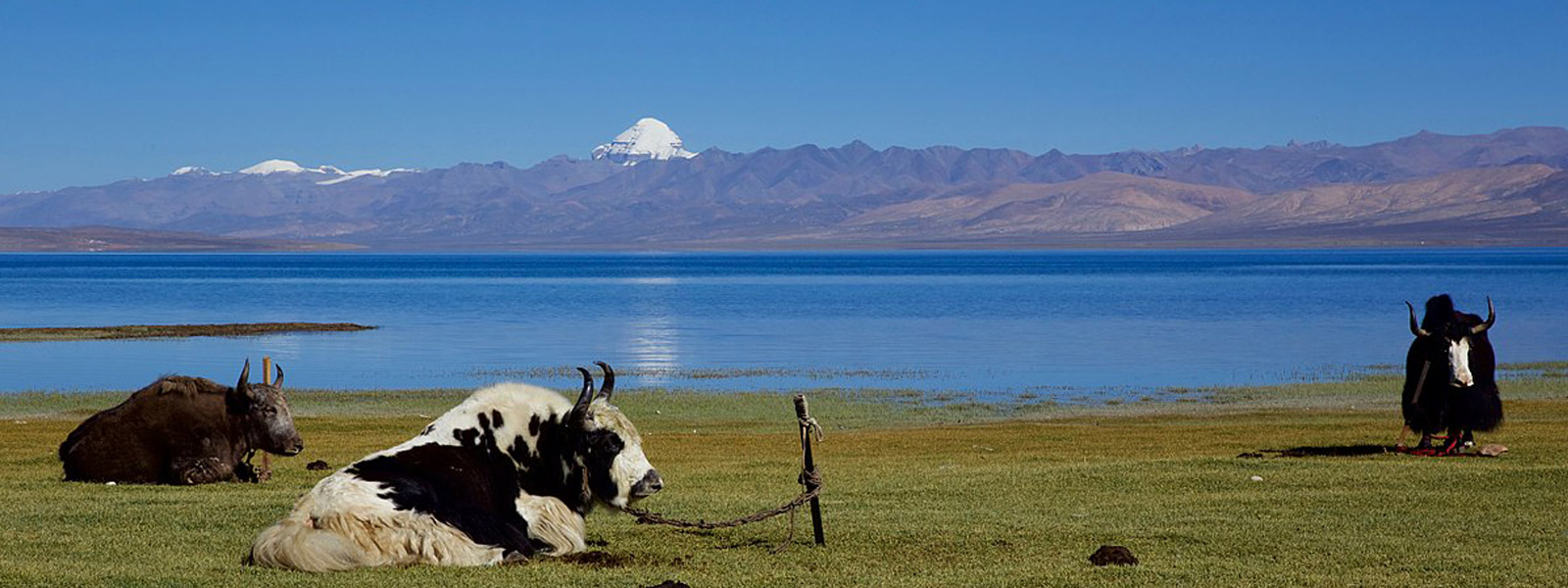 Kailash Mansarovar Tour