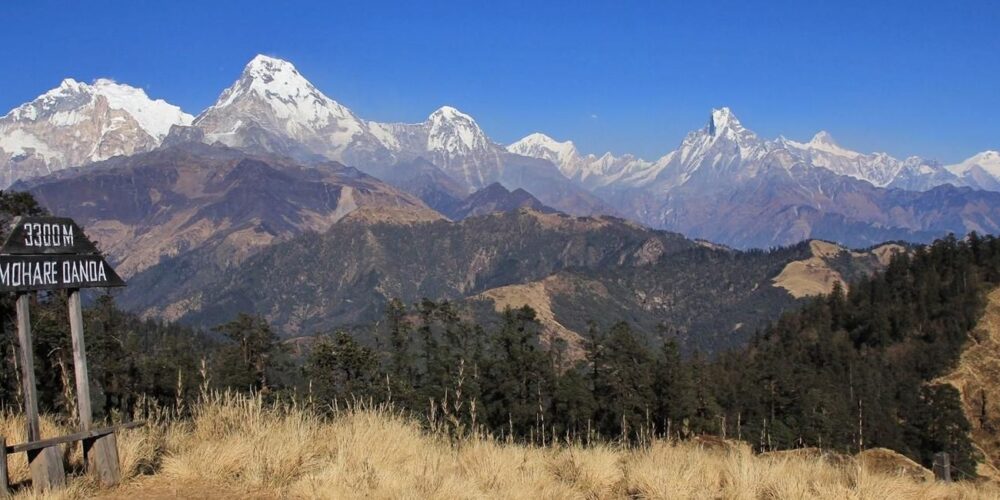 Mohore Danda Trek orginize by Graceful Adventure