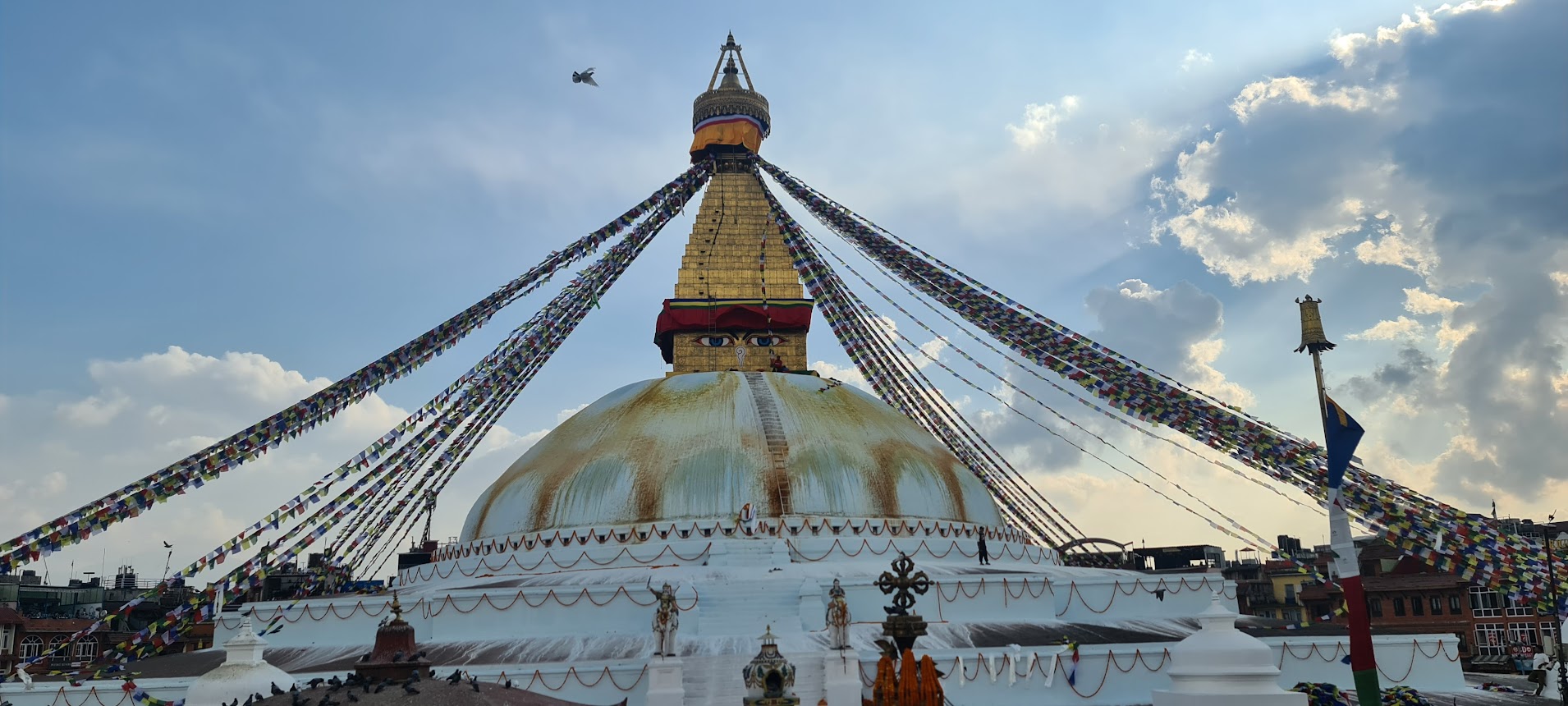 Seven night eight days kathmandu pokhara chitwan tour package