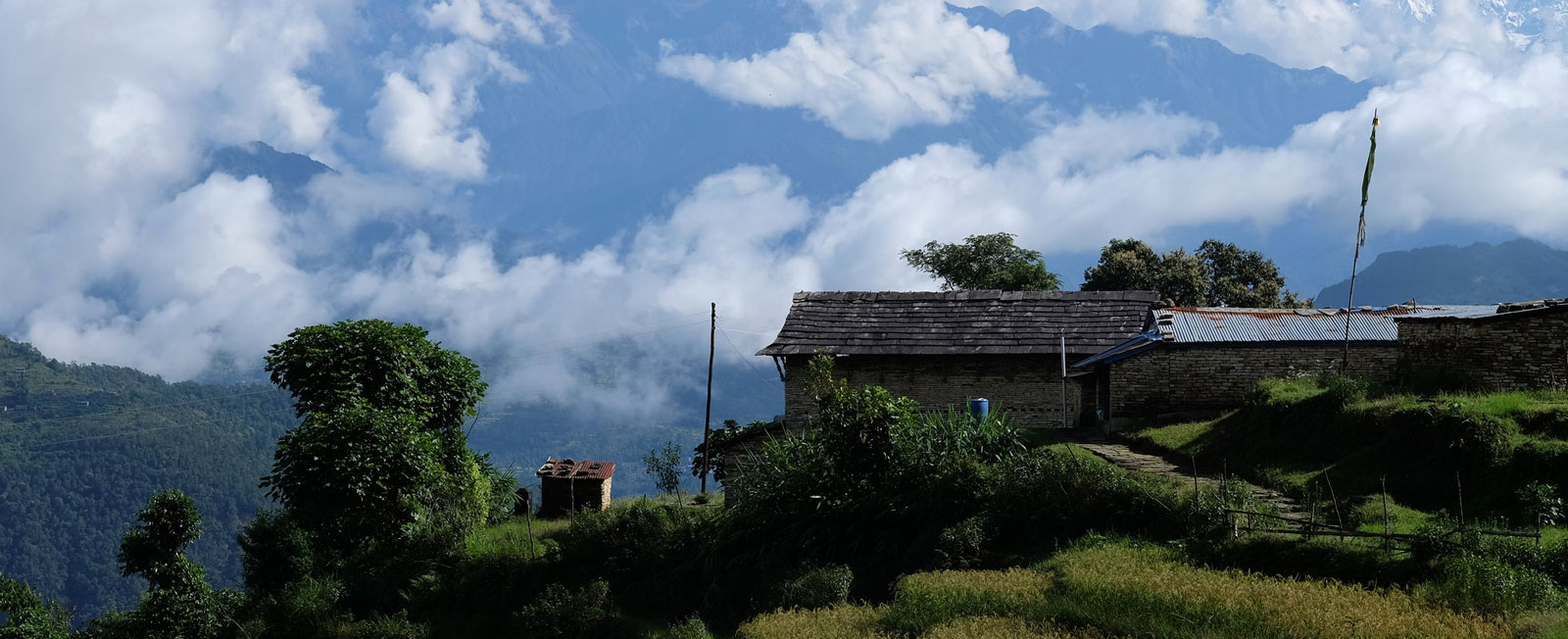 Panchase trekking