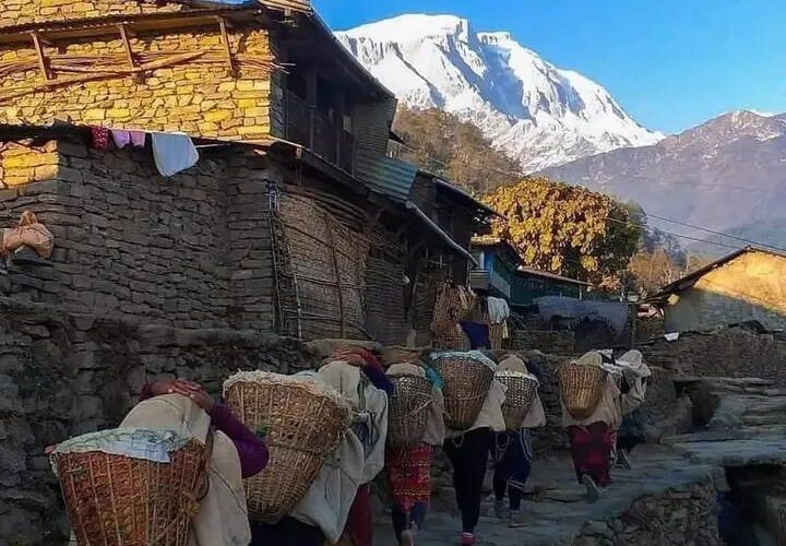 sickles village trek