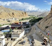 Luxury Experience in Mustang
