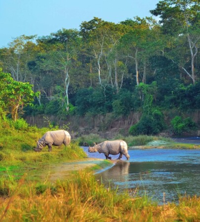 Kathmandu Chitwan Flight Ticket Cost and Time