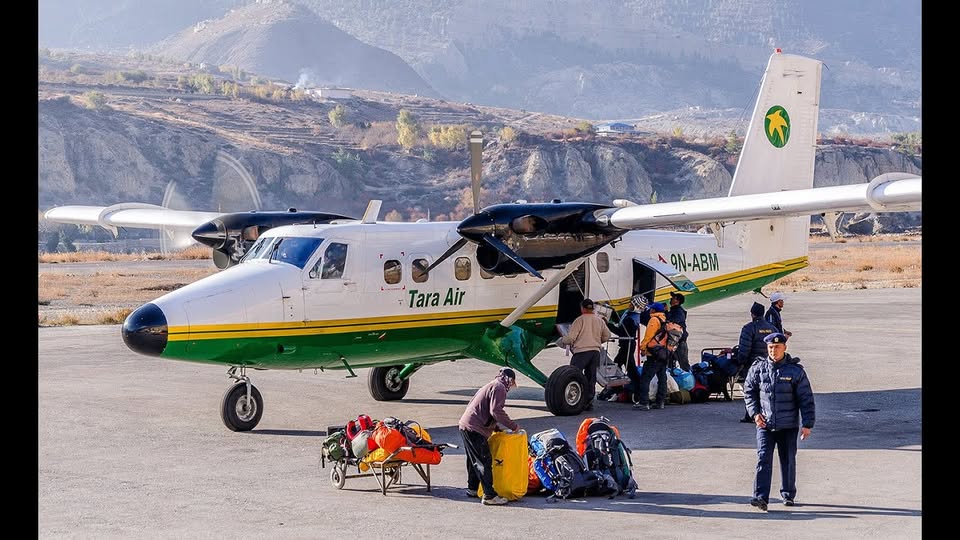 Domestic flights