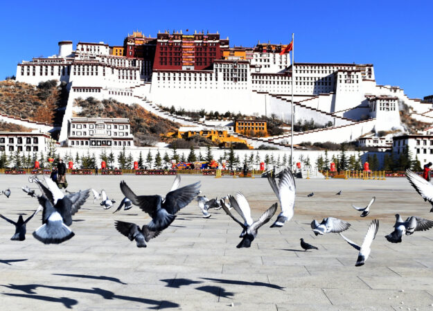 three night four days Lhasa city tour package