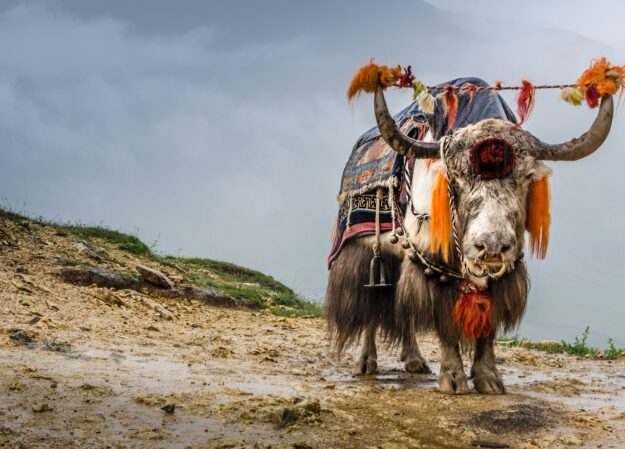 Best Nepal and Tibet tour package