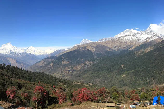 ghorepani poonhill trek