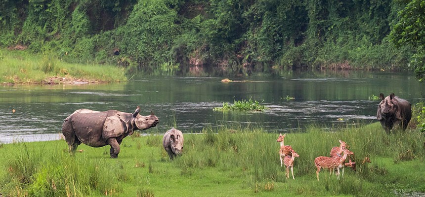 Chitwan National Park