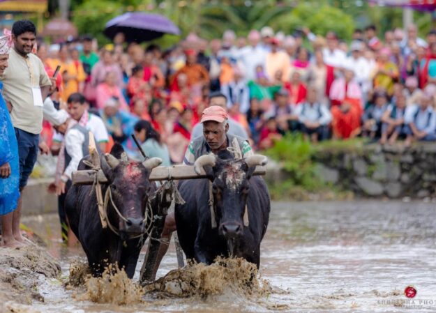 Ropai Festival (Asar 15 – National Paddy Day)