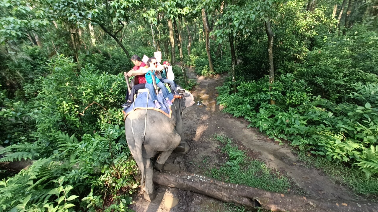 Chitwan National Park
