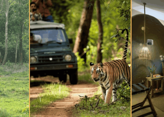 Luxury Experience in Chitwan