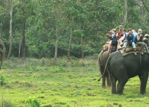 Chitwan