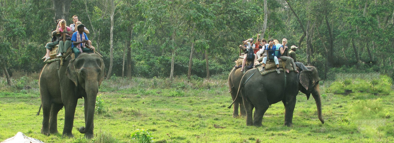 Luxury Experience in Chitwan