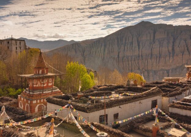 Luxury Experience in Mustang