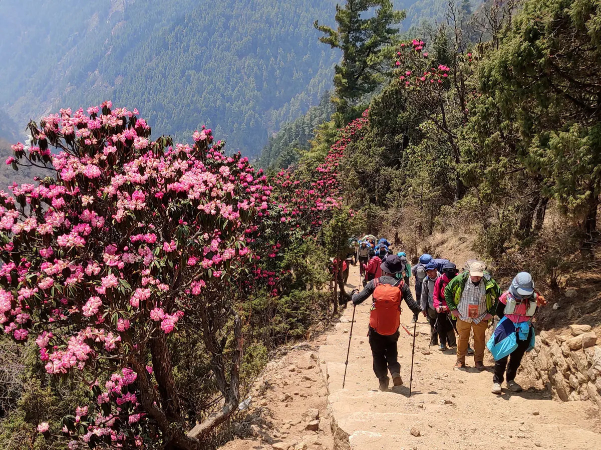 Spring Season in Nepal
