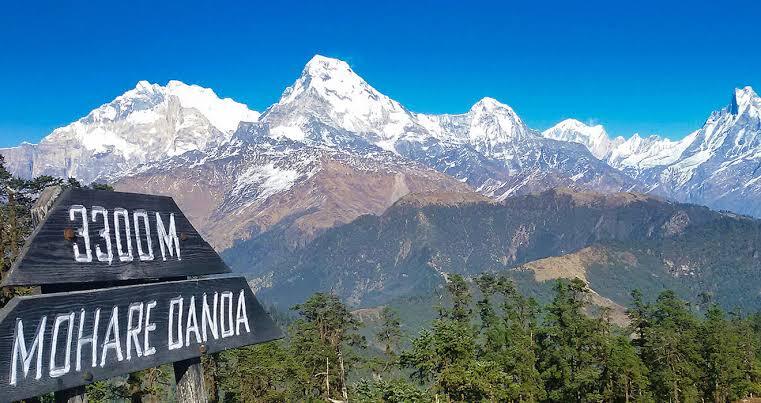 Mohare Danda Trek